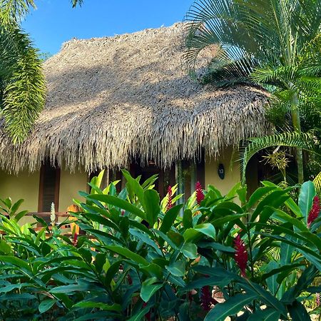 Senda Koguiwa El Zaino Exterior foto