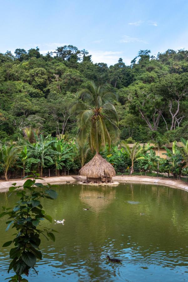 Senda Koguiwa El Zaino Exterior foto