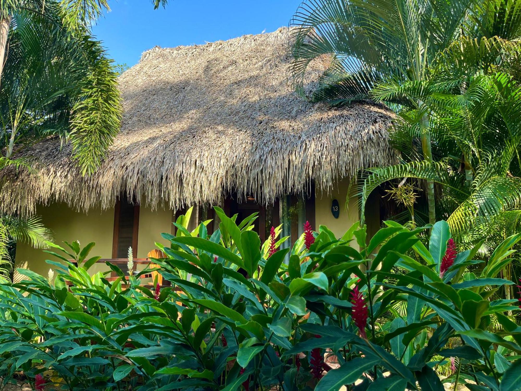 Senda Koguiwa El Zaino Exterior foto